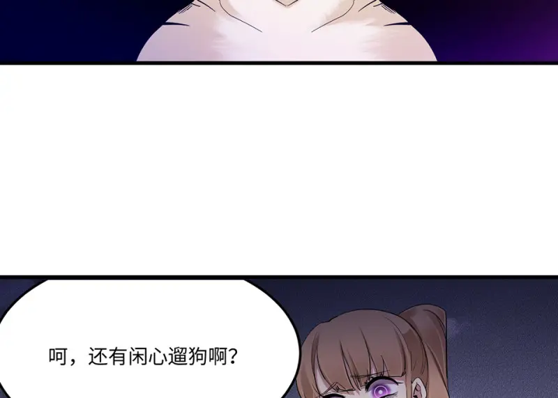 宠物食粮·二99