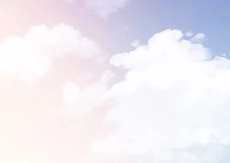 野蜘蛛·四162