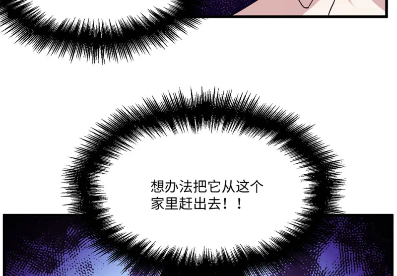 宠物食粮·六63