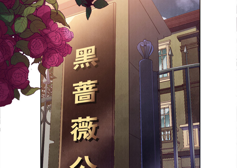 黑窗之花·二2