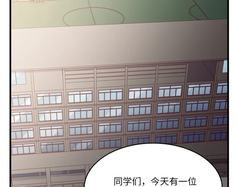 野蜘蛛·一117