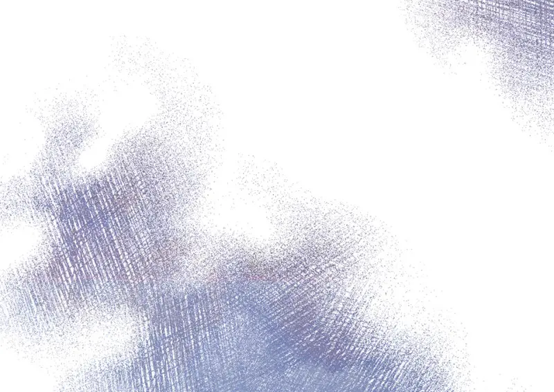 野蜘蛛·五148