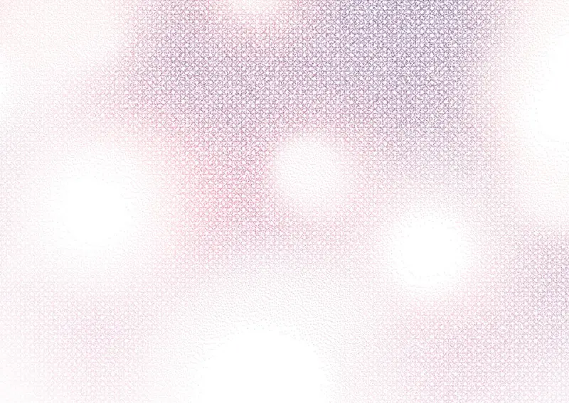 野蜘蛛·四121