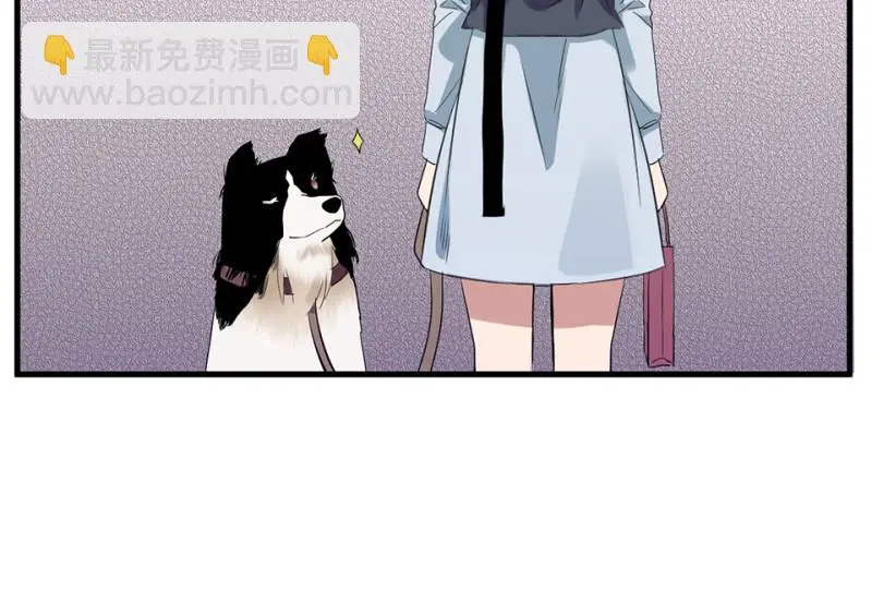 宠物食粮·二141