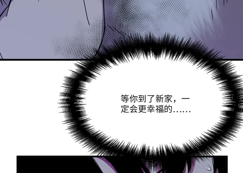 宠物食粮·七99