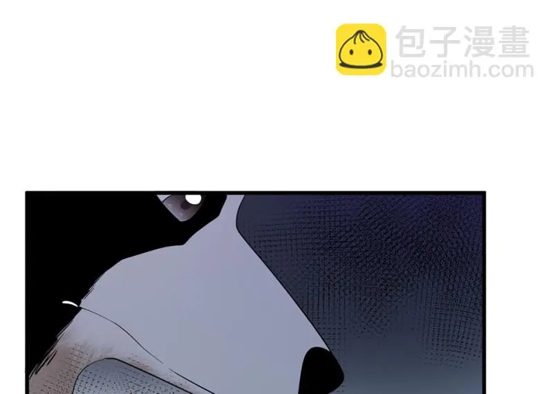 宠物食粮·四77