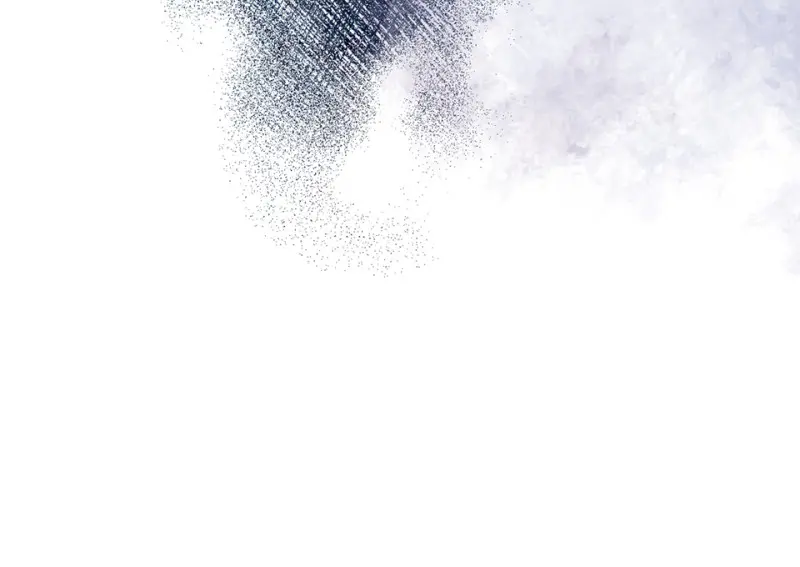 野蜘蛛·四53
