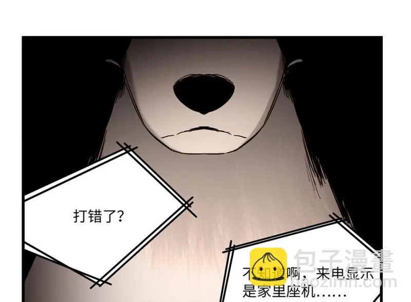 宠物食粮·四71