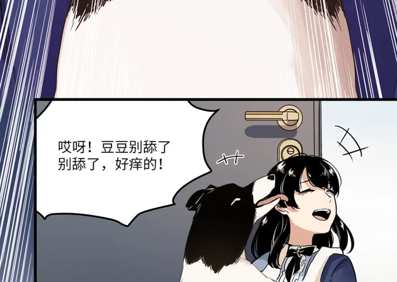 宠物食粮·一51