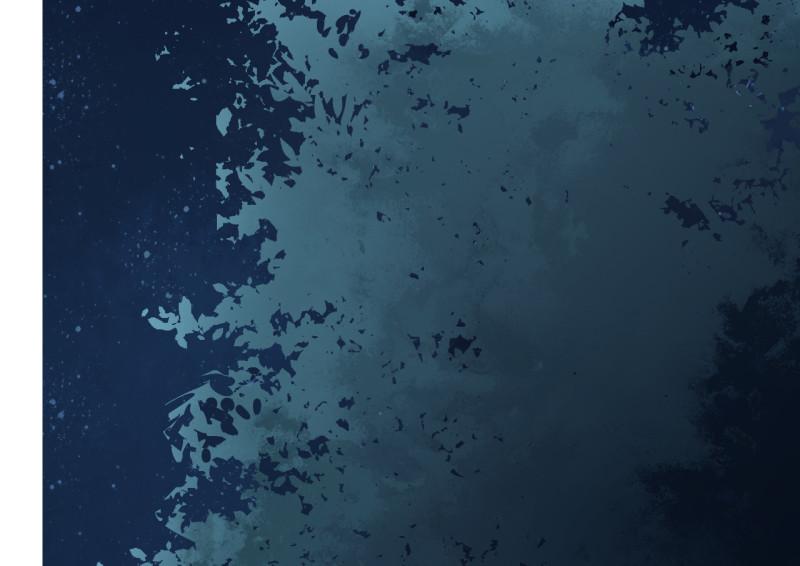 野蜘蛛·三28