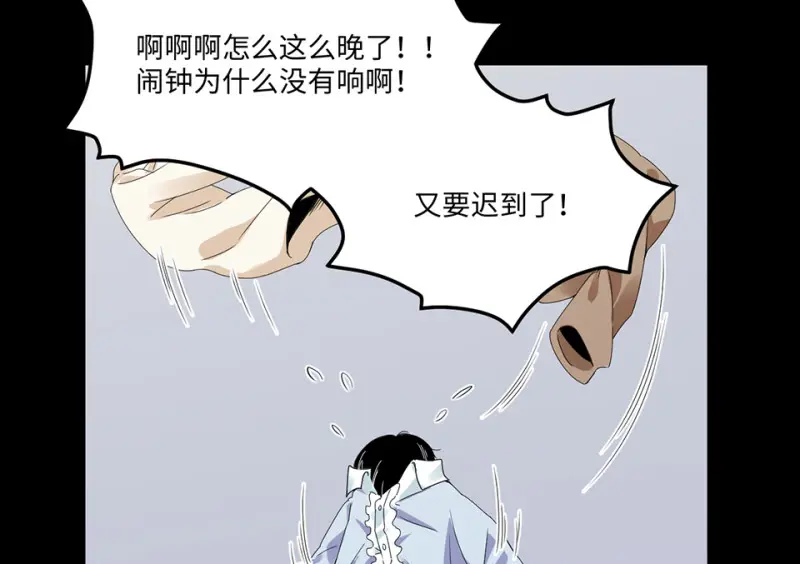 宠物食粮·六11
