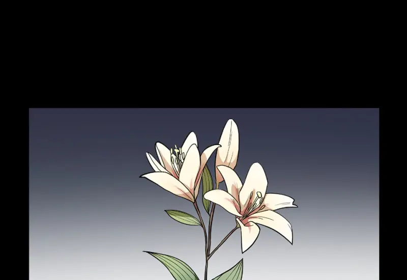 培育土壤·一6