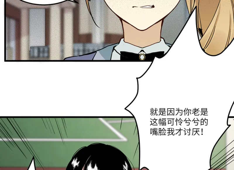 宠物食粮·一17