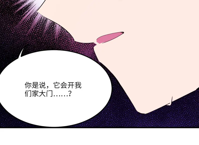 宠物食粮·五113