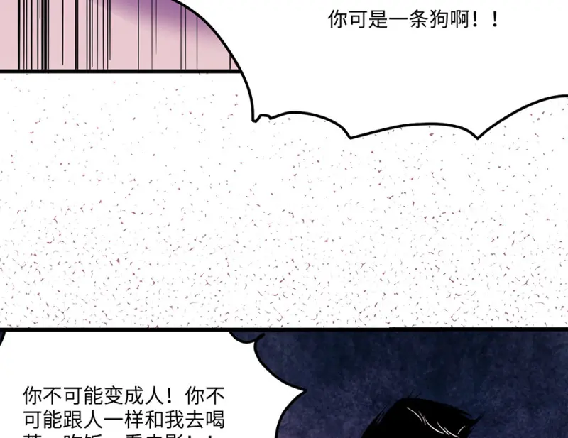 宠物食粮·四137
