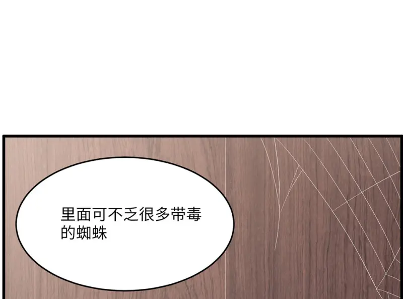野蜘蛛·一77