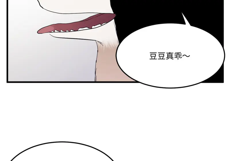宠物食粮·四67