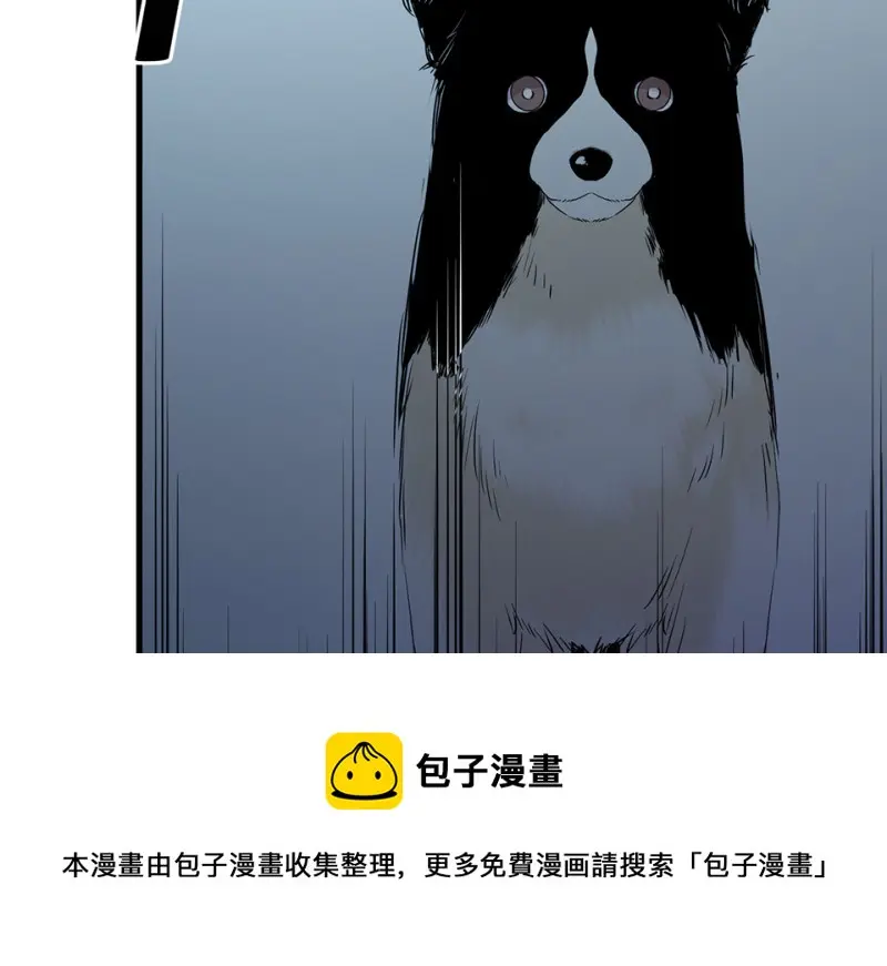 宠物食粮·一180