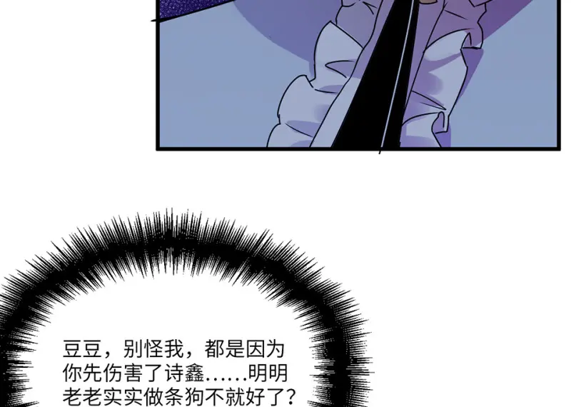 宠物食粮·七97