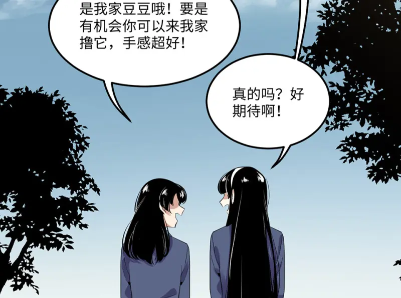 宠物食粮·三99