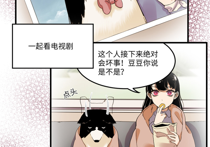 宠物食粮·三13