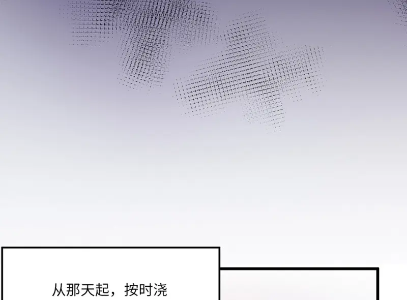 培育土壤·四84