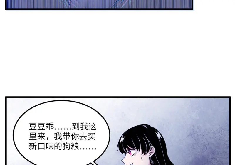 宠物食粮·七119
