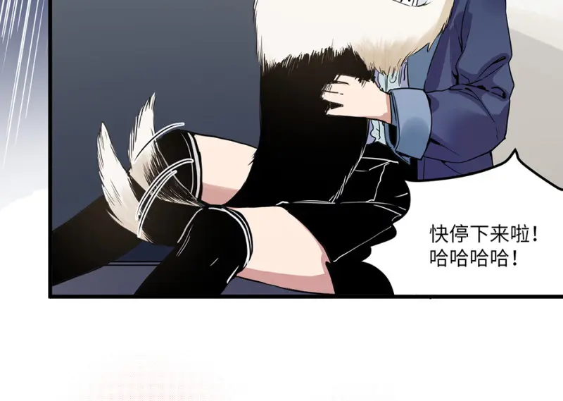 宠物食粮·一52