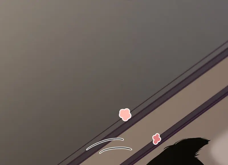 宠物食粮·一96