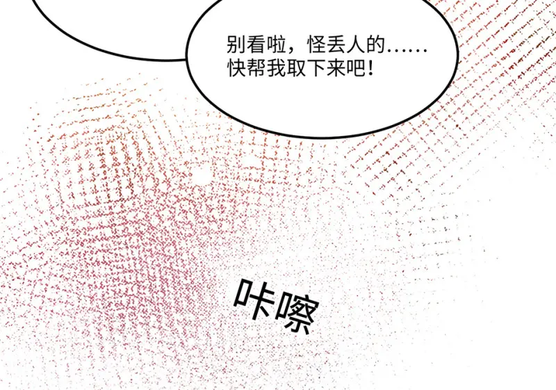 宠物食粮·三77