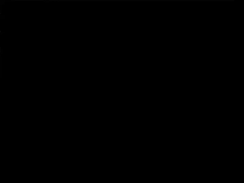野蜘蛛·一252