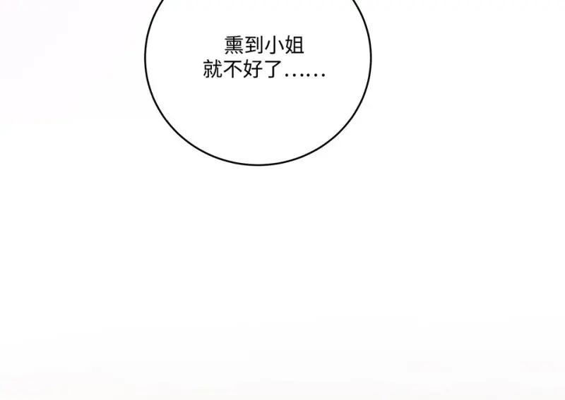 黑窗之花·二147