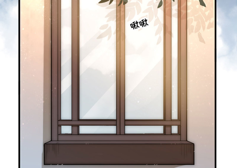 野蜘蛛·六11