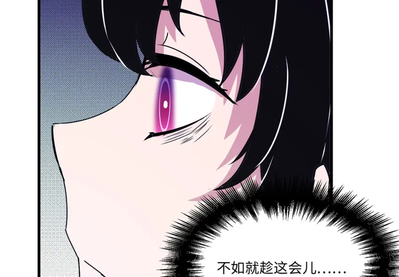 宠物食粮·六78