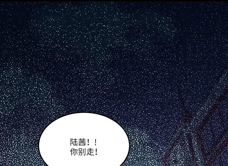 宠物食粮·一5
