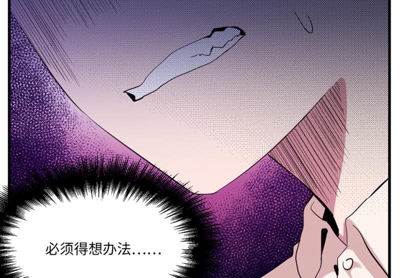 宠物食粮·六62