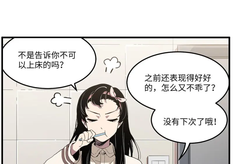 宠物食粮·二28