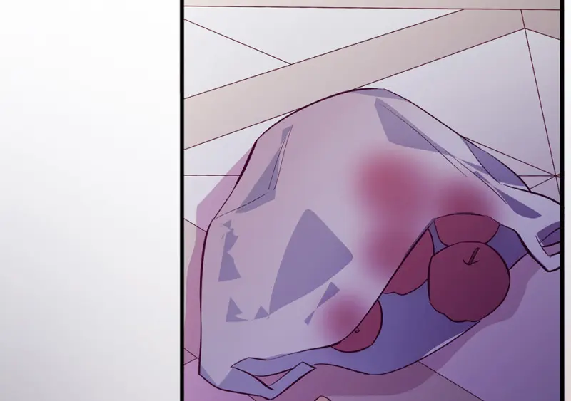 野蜘蛛·一204