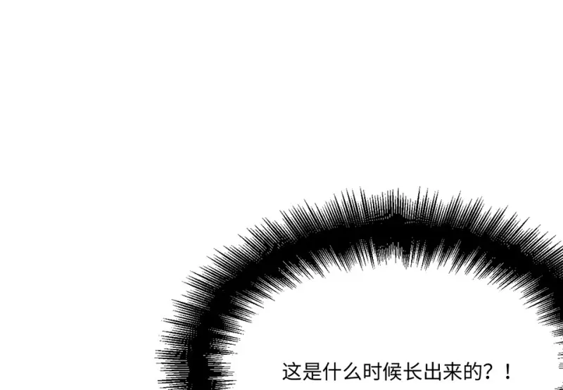 培育土壤·二114