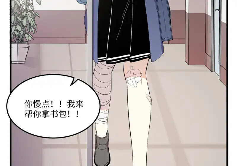 宠物食粮·五63