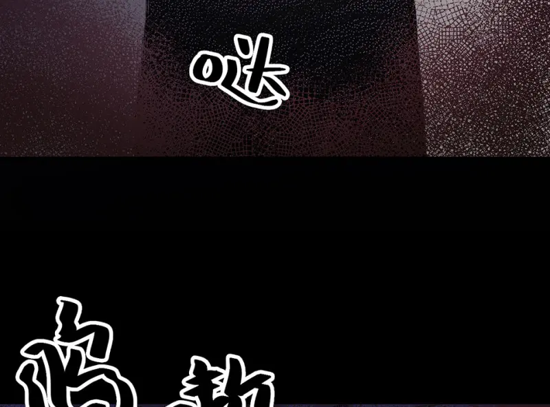 宠物食粮·五53