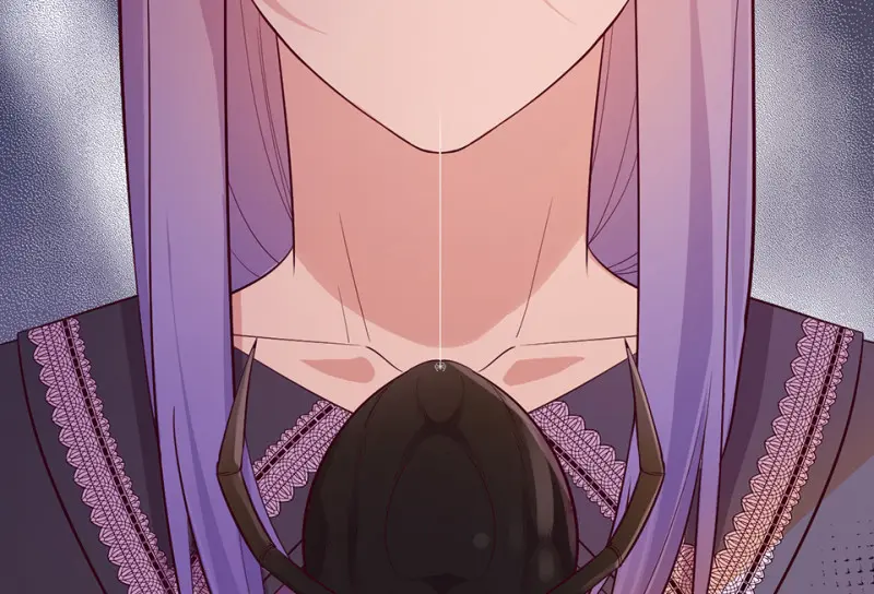 野蜘蛛·一82