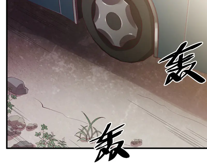 野蜘蛛·一5