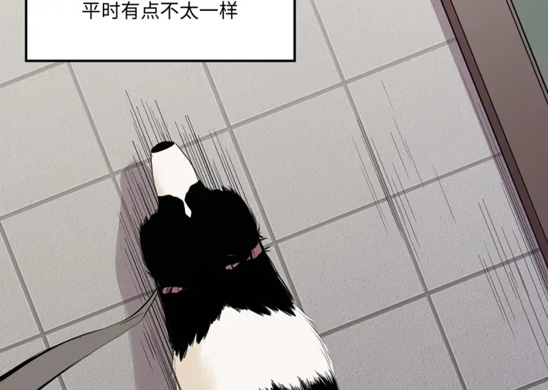 宠物食粮·二73