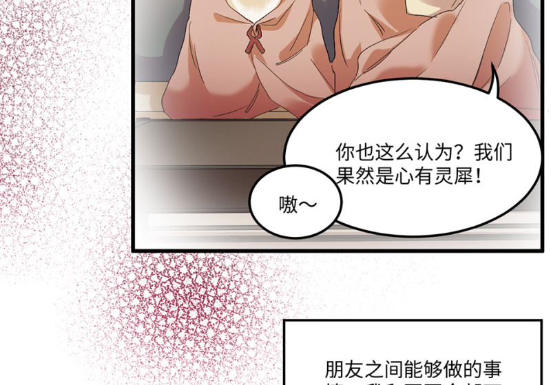 宠物食粮·三14