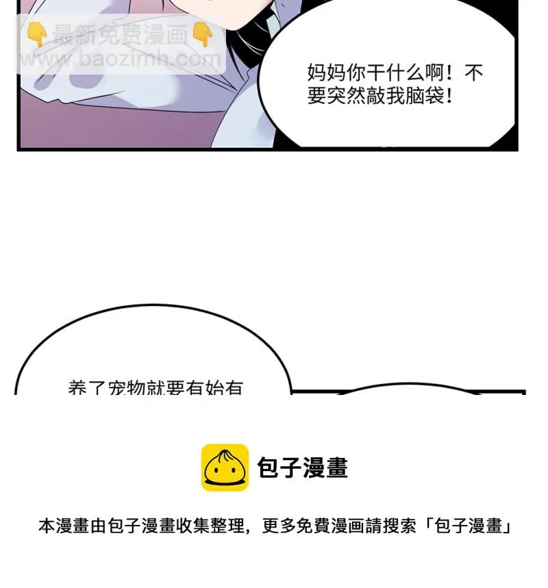 宠物食粮·六90