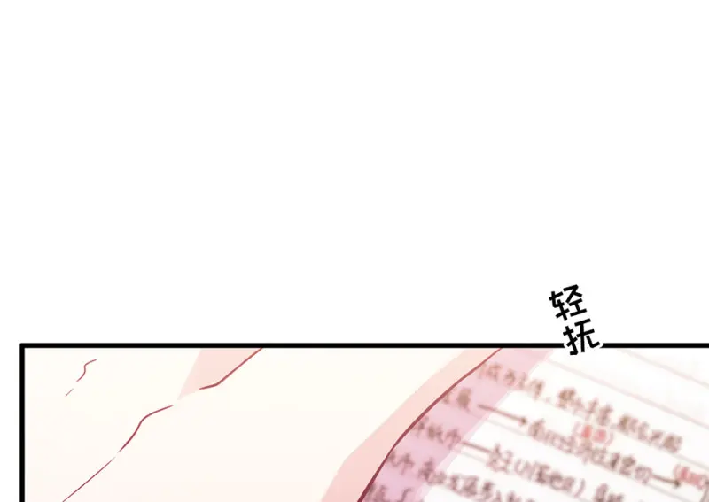 野蜘蛛·五58