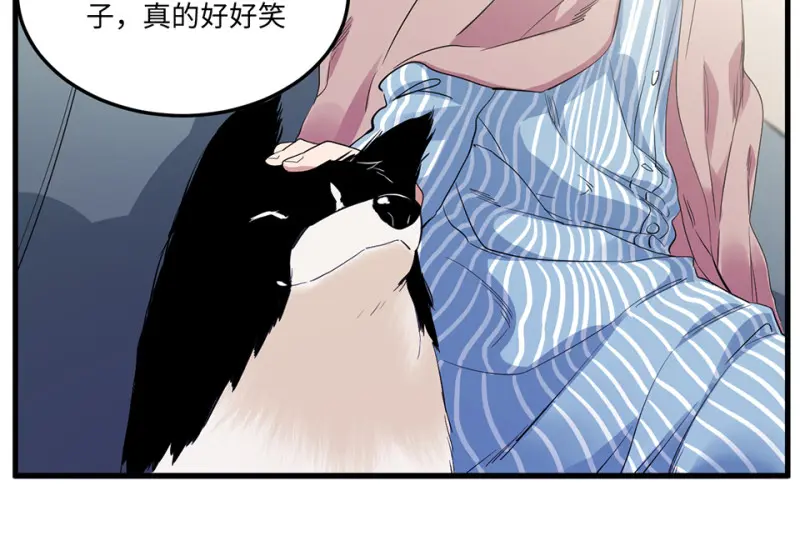 宠物食粮·三106