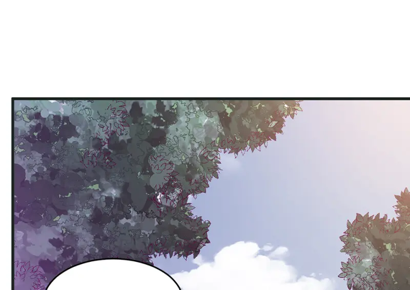 野蜘蛛·五217