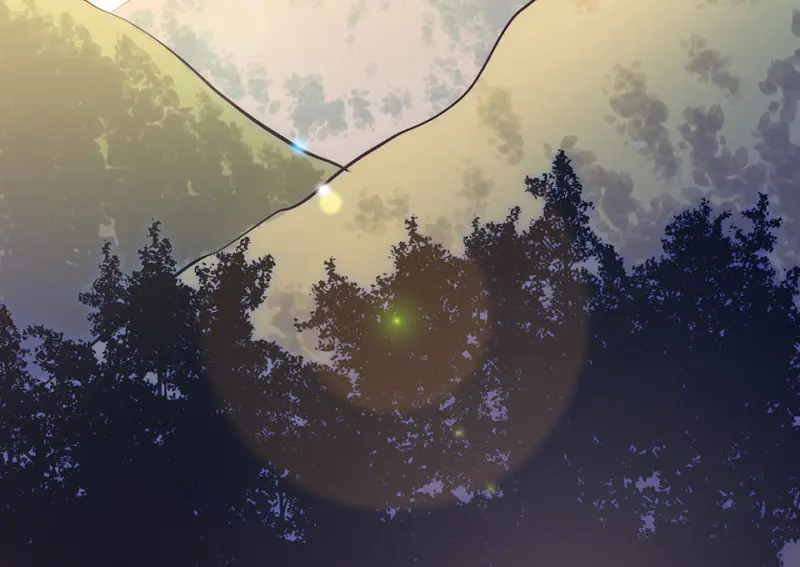 野蜘蛛·四164